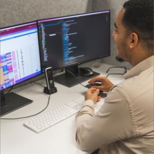 Online (Web) portalen